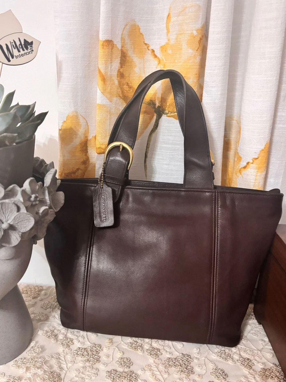 Coach Dark Brown Waverly Leather Tote with Brass Hardware
